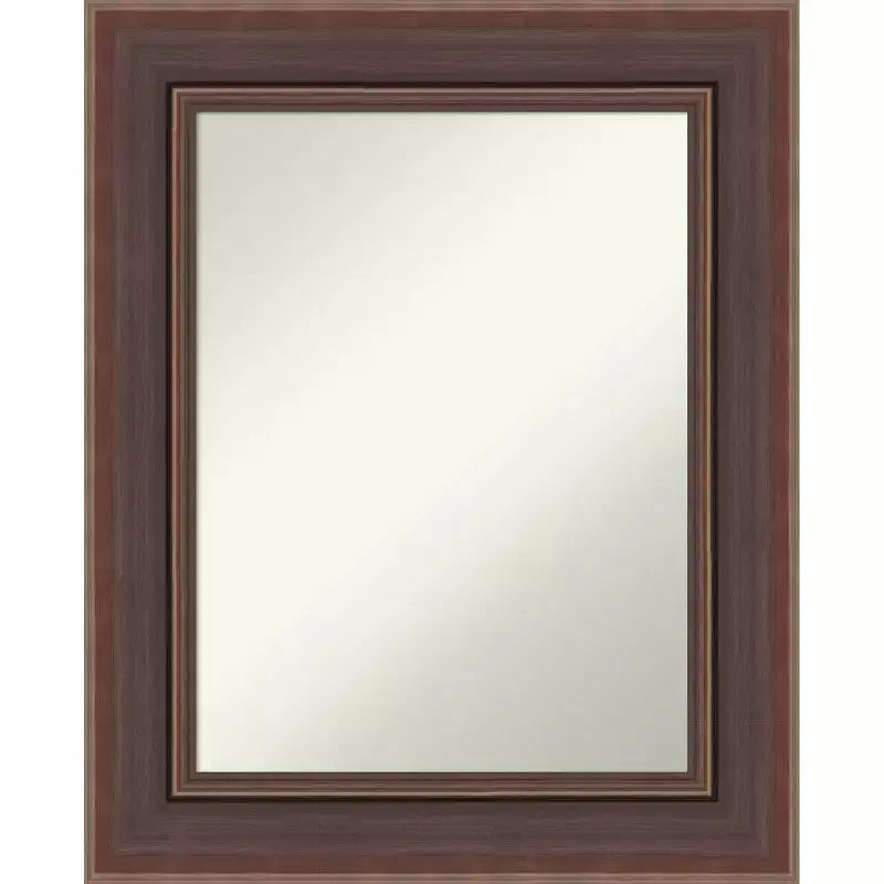 Amanti Art Moab Brown Bronze Non-Beveled Framed Bathroom Vanity Wall Mirror