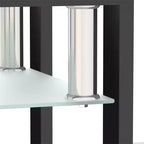 Table basse carrée à deux niveaux en verre avec étagère de rangement, table à thé moderne pour salon ou bureau